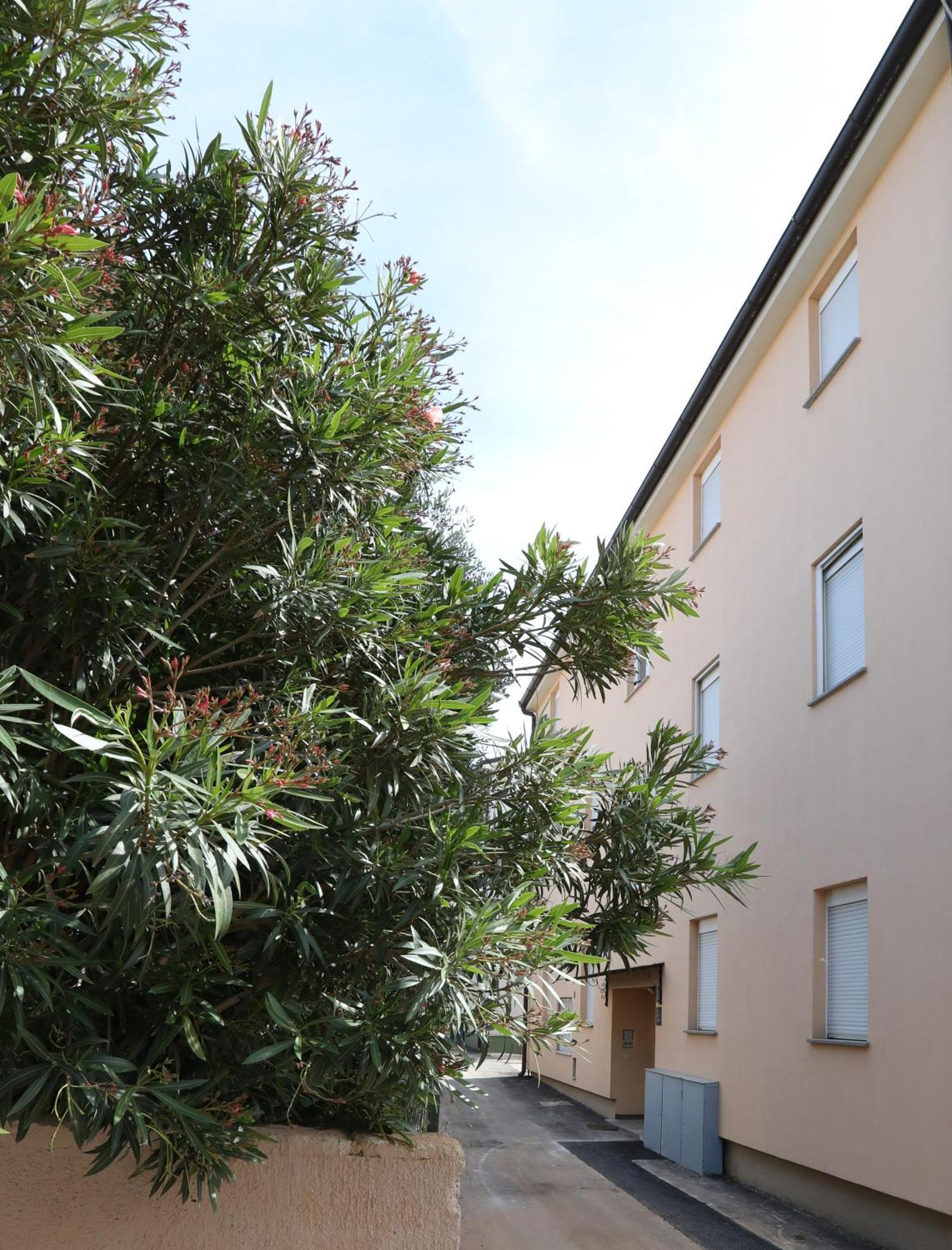 Apartment Loly 梅杜林 外观 照片